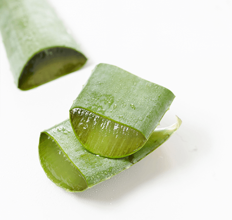 Aloe Vera Food Image
