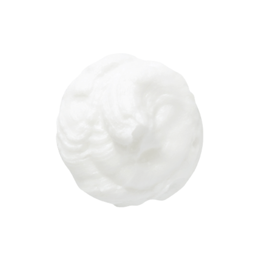 Vege Garden Cleansing Foam Mugwort